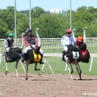 Business 29 image REMINGTON PARK Racetrack in Oklahoma City OK