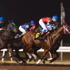 Business 31 image REMINGTON PARK Racetrack in Oklahoma City OK
