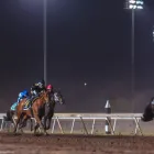 Business 32 image REMINGTON PARK Racetrack in Oklahoma City OK