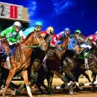 Business 34 image REMINGTON PARK Racetrack in Oklahoma City OK