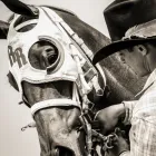 Business 36 image REMINGTON PARK Racetrack in Oklahoma City OK