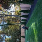 Business 2 image REMY LANDSCAPING LLC Pets & Animals in Gaithersburg MD