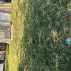 Business 4 image REMY LANDSCAPING LLC Pets & Animals in Gaithersburg MD