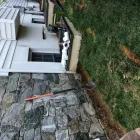 Business 11 image REMY LANDSCAPING LLC Pets & Animals in Gaithersburg MD