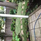Business 12 image REMY LANDSCAPING LLC Pets & Animals in Gaithersburg MD