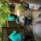 Business 16 image REMY LANDSCAPING LLC Pets & Animals in Gaithersburg MD