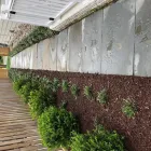 Business 18 image REMY LANDSCAPING LLC Pets & Animals in Gaithersburg MD