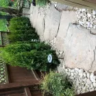 Business 19 image REMY LANDSCAPING LLC Pets & Animals in Gaithersburg MD