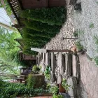Business 20 image REMY LANDSCAPING LLC Pets & Animals in Gaithersburg MD
