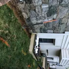 Business 28 image REMY LANDSCAPING LLC Pets & Animals in Gaithersburg MD