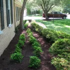 Business 40 image REMY LANDSCAPING LLC Pets & Animals in Gaithersburg MD