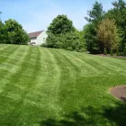Business 44 image REMY LANDSCAPING LLC Pets & Animals in Gaithersburg MD