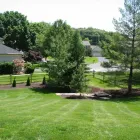 Business 47 image REMY LANDSCAPING LLC Pets & Animals in Gaithersburg MD