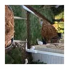 Business 53 image REMY LANDSCAPING LLC Pets & Animals in Gaithersburg MD