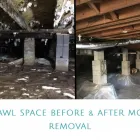 Business 4 image RENEW AGAIN SOLUTIONS Water Damage Restoration in Mcdonough GA