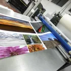 Business 1 image REPRODUCTIONS, INC. Print Shops in Tucson AZ