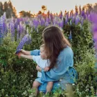 Business 1 image REPRODUCTIVE FERTILITY CENTER Fertility Clinic in West Hollywood CA