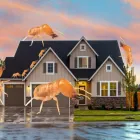Business 1 image REPUBLIC PEST CONTROL HOUSTON in Houston TX