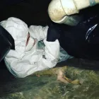 Business 17 image RESTORATION 1 OF HUNTSVILLE Water Damage Cleanup in Huntsville AL