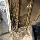 Business 19 image RESTORATION 1 OF HUNTSVILLE Water Damage Cleanup in Huntsville AL