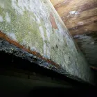 Business 13 image RESTORATION 1 OF SUGARLAND Flood Damage Cleanup in Richmond TX