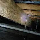 Business 14 image RESTORATION 1 OF SUGARLAND Flood Damage Cleanup in Richmond TX