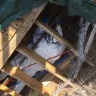 Business 43 image RESTORATION 1 OF SUGARLAND Flood Damage Cleanup in Richmond TX