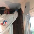 Business 26 image RESTORATION 1 OF WESTCHESTER Flood Damage Cleanup in Bronx NY