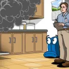 Business 2 image RESTORATION PRO 24, LLC Mold Testing & Removal in Saint Paul MN