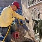 Business 2 image RESULTS PEST & TERMITE, BED BUG CONTROL, & BEE EXTERMINATOR Termite Pest Control in Tucson AZ