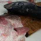 Business 4 image REY MAR FISH MARKET AND RESTAURANT in Louisville KY