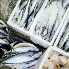 Business 5 image REY MAR FISH MARKET AND RESTAURANT in Louisville KY
