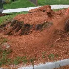 Business 2 image RIAN'S TREE SERVICE, LLC in Indianapolis IN