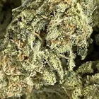 Business 2 image RICCH HIPPEE WELLNESS Cannabis prerolls in Oklahoma City OK