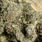 Business 4 image RICCH HIPPEE WELLNESS Cannabis prerolls in Oklahoma City OK