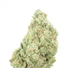 Business 9 image RICCH HIPPEE WELLNESS Cannabis prerolls in Oklahoma City OK