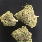 Business 10 image RICCH HIPPEE WELLNESS Cannabis prerolls in Oklahoma City OK