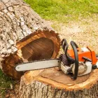 Business 2 image RICHARDSON TREE SERVICE in Richardson TX