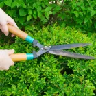 Business 4 image RICHARDSON TREE SERVICE in Richardson TX