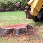 Business 9 image RICHARDSON TREE SERVICE in Richardson TX