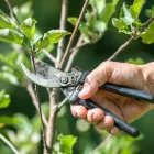 Business 10 image RICHARDSON TREE SERVICE in Richardson TX