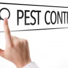 Business 2 image RICHMOND PEST CONTROL SOLUTIONS in Richmond VA