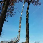 Business 3 image RICHMOND TREE SERVICE COMPANY in Mechanicsville VA