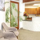 Business 1 image RICK K. YAMADA, DDS & JOSEPH ZEIDAN, DMD - ORAL & MAXILLOFACIAL SURGERY Oral Surgeons in La Jolla CA