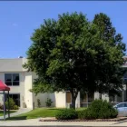 Business 20 image RIDGEVIEW DENTAL Dentists in Centennial CO