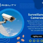 Business 3 image RIGILITY SURVEILLANCE SOLUTIONS CHICAGO Security Systems in Chicago IL