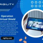 Business 13 image RIGILITY SURVEILLANCE SOLUTIONS CHICAGO Security Systems in Chicago IL