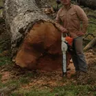 Business 3 image RIOS BROTHERS CONCRETE & TREE SERVICE Concrete Driveways in Weatherford TX