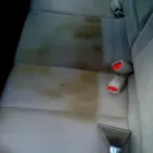 Business 2 image RIPLEY SERVICES Carpet & Rug Cleaners-Water Extraction in Fort Worth TX