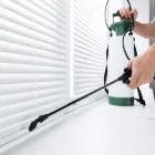 Business 1 image RIVER CITY TERMITE REMOVAL EXPERTS Pest Control Software in Sacramento CA